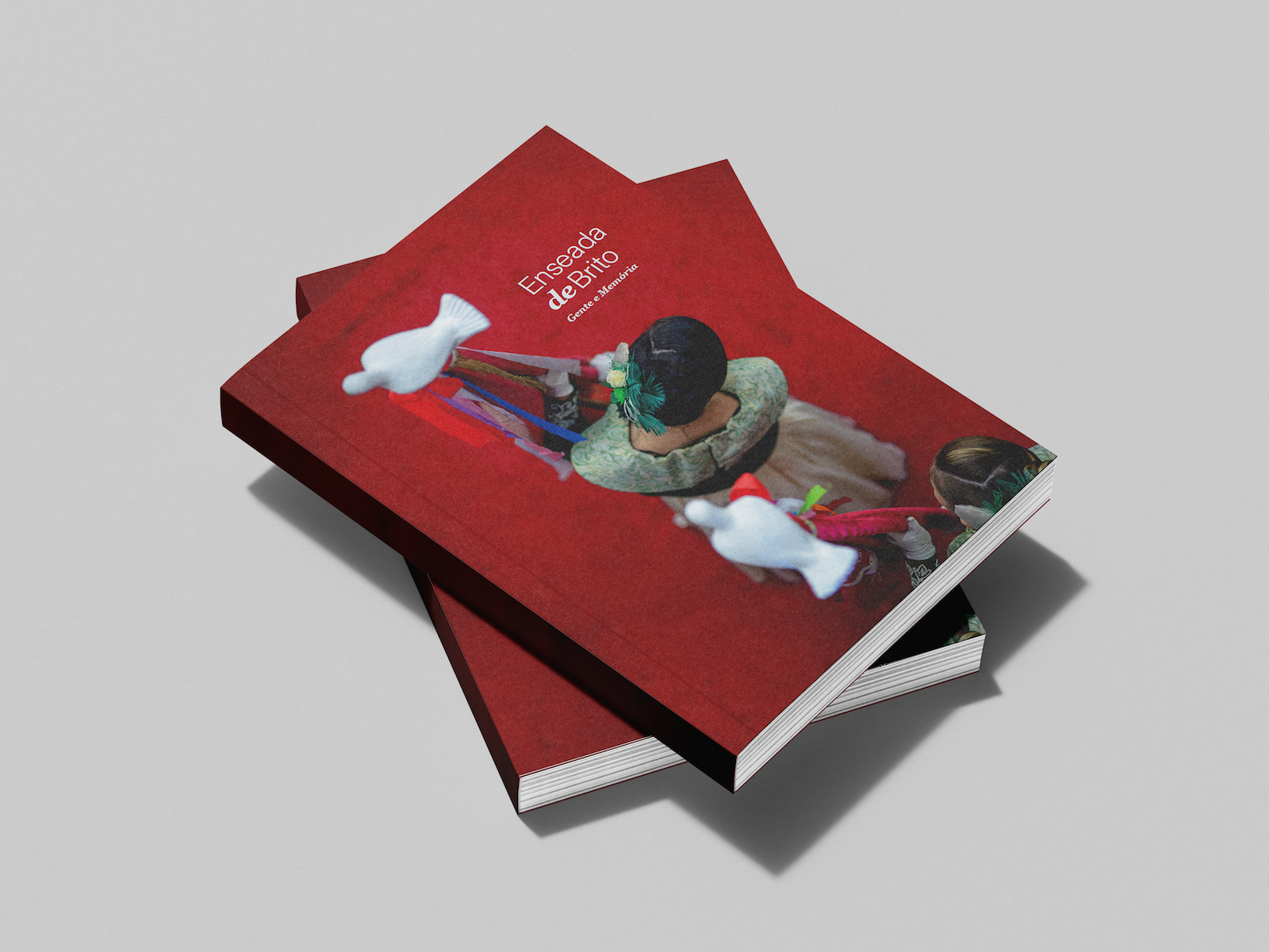 00 Mockup Livro GM 33.png