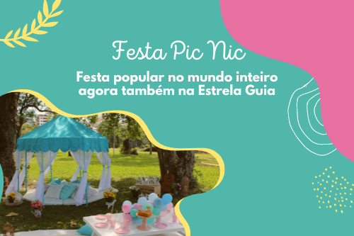 Festa Pic Nic